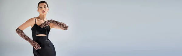 Mujer asiática joven y encantadora con maquillaje audaz y cabello moreno de pie en pose elegante sobre fondo gris, moda de primavera, vestido de correa negra, guantes de impresión animal, generación z, bandera - foto de stock