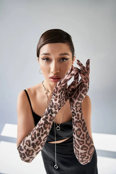 Spring fashion photography, brunette asian woman with seductive gaze looking at camera on grey background with lighting, black strap dress, animal print gloves, hands near face — Stock Photo