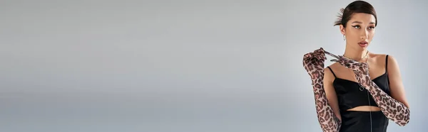 Elegante mulher asiática com cabelo morena decolando animal imprimir luva enquanto posando em preto e elegante vestido de cinta e olhando para o fundo cinza, primavera de moda fotografia, banner — Fotografia de Stock