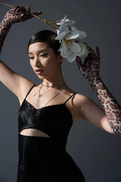 Youthful asian woman in black elegant strap dress, silver necklaces and animal print gloves holding white blooming orchid above head on dark grey background, trendy spring concept, fashion shoot — Stock Photo