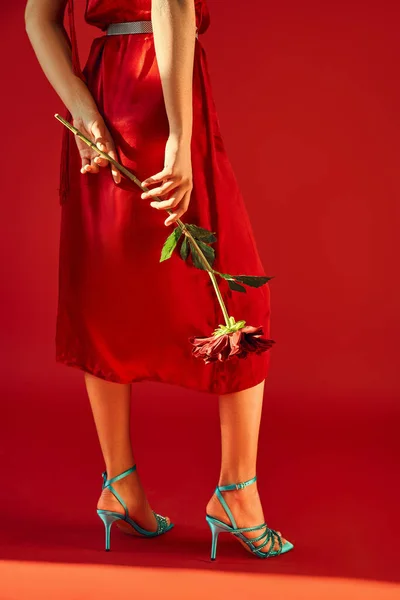 Vista cortada de mulher elegante em vestido e sandálias de salto turquesa posando com peônia borgonha enquanto em pé sobre fundo vermelho, gen z moda, conceito de primavera na moda — Fotografia de Stock