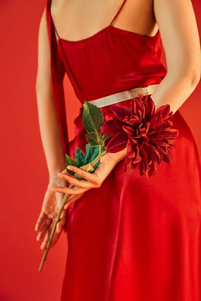 Cropped view of young and fashionable woman in elegant dress standing and holding burgundy peony on red background, generation z, spring fashion concept — Stock Photo