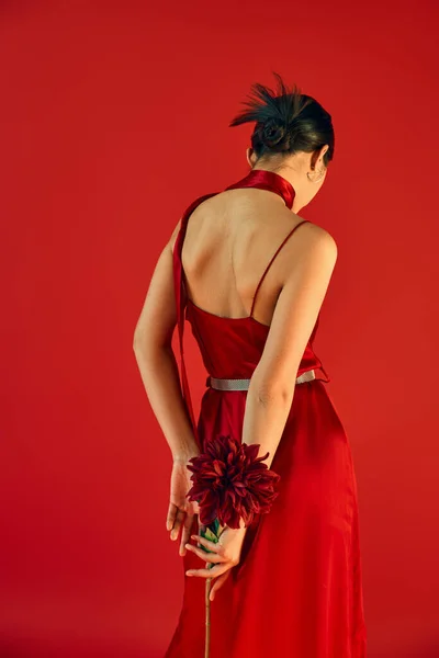 Задний вид молодой женщины с брюнетками и модной прической, позирующей в шейном и ремешном платье, держа бордовый пион на красном фоне, модная весенняя концепция — стоковое фото