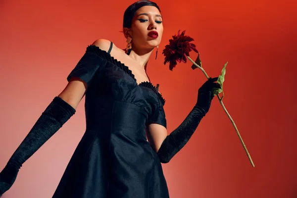 Низький кут зору чарівна азіатська жінка з сміливим макіяжем, в чорній коктейльній сукні та довгих рукавичках, що тримають бордову півонію на червоно-рожевому тлі, молодіжній культурі, стильній концепції весни — стокове фото