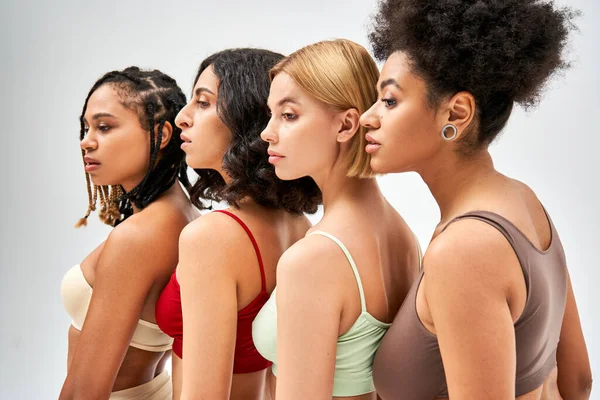 Багатоетнічні жінки в барвистих і сучасних бюстгальтерах, які дивляться в сторону, стоячи разом ізольовані на сірих, різних типах тіла і концепції самоприйняття, мультикультурні моделі — стокове фото
