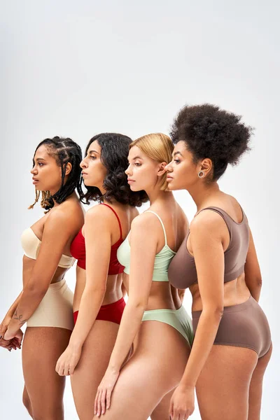 Seitenansicht multiethnischer Frauen in bunten und modernen Dessous, die wegschauen, während sie isoliert auf grauen, unterschiedlichen Körpertypen und Selbstakzeptanzkonzepten stehen, multikulturelle Modelle — Stockfoto