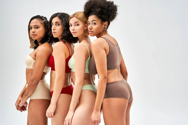 Разнообразные женщины в красочном и модном нижнем белье, смотрящие в камеру, позируя вместе и стоя изолированно на сером, разных типах тела и концепции самопризнания, мультикультурных моделях — стоковое фото