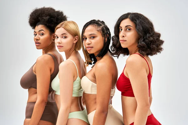 Multiethnic women in modern and colorful lingerie looking at camera and standing next to each other isolated on grey, different body types and self-acceptance concept, multicultural models — Stock Photo