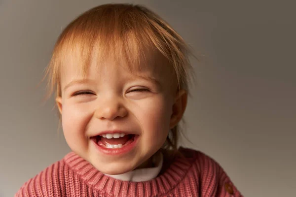 Retrato de bebê bonito menina, criança criança alegre, criança pequena em traje casual olhando para a câmera no fundo cinza em estúdio, emoção, inocência, moda infantil, roupa elegante, suéter, felicidade — Fotografia de Stock