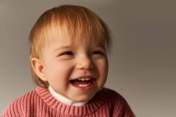 Retrato de bebê bonito menina, criança criança feliz, criança pequena em traje casual olhando para a câmera no fundo cinza em estúdio, emoção, inocência, moda infantil, roupa elegante, suéter, positividade — Fotografia de Stock