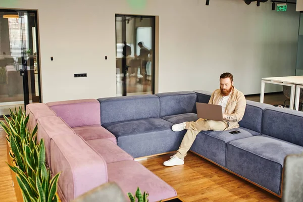 Full length of tattooed and bearded entrepreneur sitting on comfortable couch next to mobile phone and working on laptop near green plants in office lounge, business lifestyle concept — Stock Photo