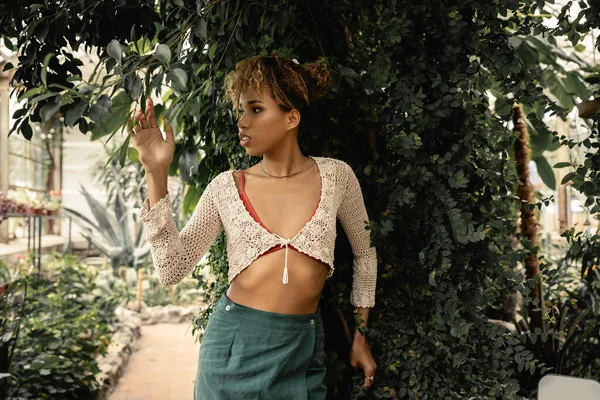Mujer afroamericana joven de moda en top de punto y falda posando mientras está de pie cerca de plantas verdes en el centro de jardín borroso, mujer elegante disfrutando de un exuberante entorno tropical - foto de stock
