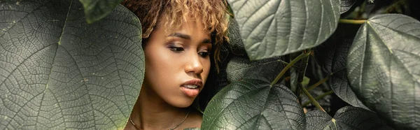 Moderna mujer afroamericana joven con maquillaje mirando hojas verdes mientras está de pie cerca de las plantas en el jardín interior, mujer elegante disfrutando de exuberantes alrededores tropicales, pancarta - foto de stock