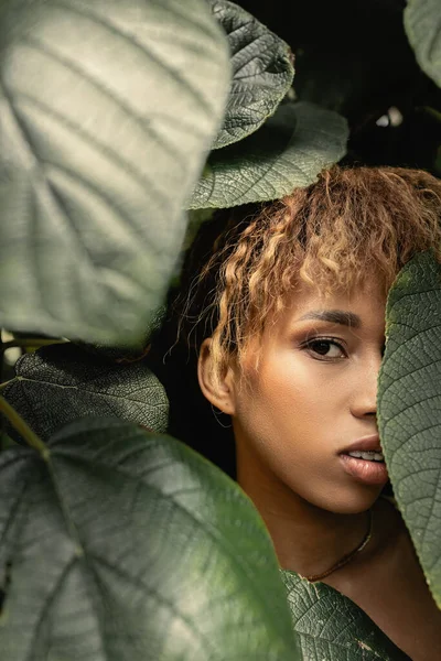 Retrato de mujer afroamericana joven y de moda con maquillaje mirando a la cámara mientras está de pie detrás del follaje verde en invernadero, dama de moda en oasis tropical - foto de stock