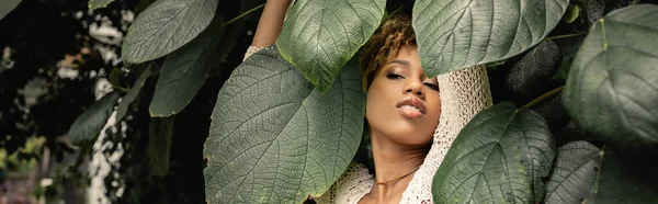 Trendige junge afrikanisch-amerikanische Frau im Stricktop, die grüne Blätter von Pflanzen berührt und im verschwommenen Gewächshaus steht, sommerlich modebewusste Dame in tropischer Oase, Banner — Stockfoto