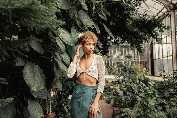 Selbstbewusste junge afrikanisch-amerikanische Frau in sommerlichem Stricktop und Rock, die wegschaut, während sie neben Pflanzen im verschwommenen Indoor-Garten steht, modebewusste Dame in tropischer Oase — Stockfoto
