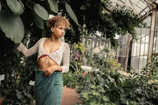 Selbstbewusste junge afrikanisch-amerikanische Frau in Stricktop und Rock, die wegschaut, während sie neben Pflanzen und Blättern im verschwommenen Gartencenter steht, sommerlich modebewusste Dame in tropischer Oase — Stockfoto