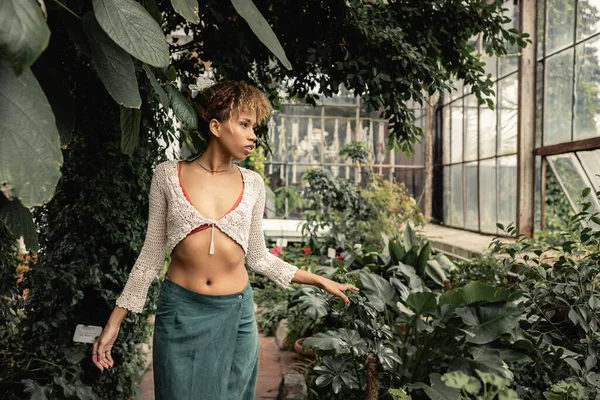 Модная молодая африканская женщина в летней юбке и вязаном топе, трогающая растение и отводящая взгляд, стоя в размытой теплице на заднем плане, стильная дама в окружении пышной зелени — стоковое фото
