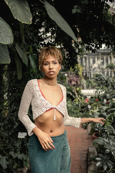 Впевнена молода афроамериканка у в'язаному верхньому одязі та спідниці, що торкається зеленої рослини, стоячи в розмитому садовому центрі, стильна леді, оточена пишною зеленню, літо — стокове фото