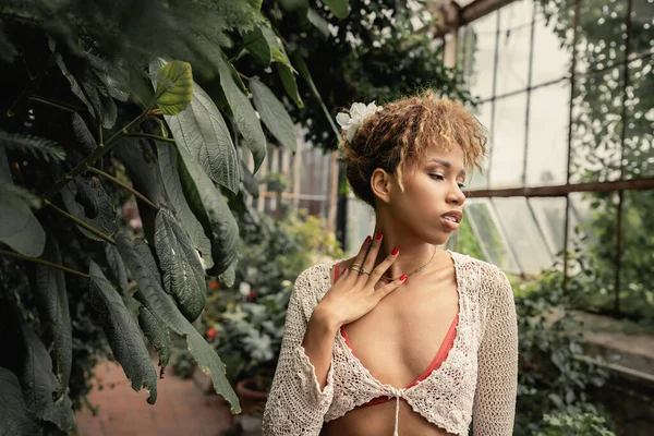 Jeune femme afro-américaine tendance en tenue d'été et haut tricoté touchant le cou tout en se tenant près de plantes vertes dans un jardin intérieur flou à l'arrière-plan, dame élégante entourée de verdure luxuriante — Stock Photo