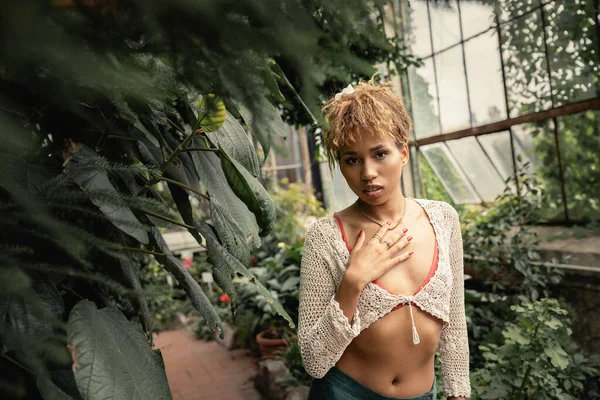 Porträt einer Afroamerikanerin im trendigen Sommeroutfit und Stricktop, die in die Kamera blickt und den Hals berührt, während sie neben Pflanzen im Garten steht, stilvolle Dame umgeben von üppigem Grün — Stockfoto