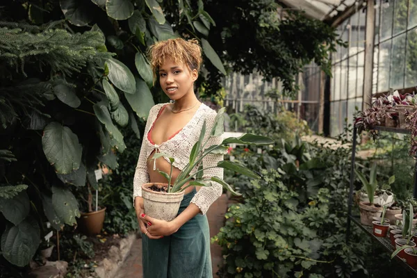 Sonriente joven mujer afroamericana en traje de verano sosteniendo planta en maceta y mirando a la cámara mientras está de pie en el jardín interior en el fondo, señora elegante rodeada de exuberante vegetación, verano - foto de stock