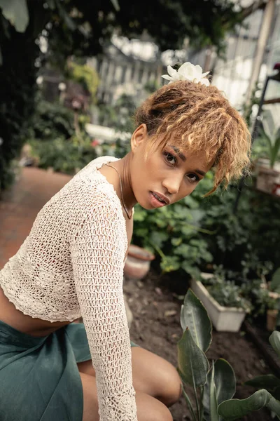 Portrait de jeune femme afro-américaine tendance en été tricoté haut regardant la caméra tout en passant du temps dans le centre de jardin flou à l'arrière-plan, fashionista se mélangeant avec la flore tropicale, été — Photo de stock