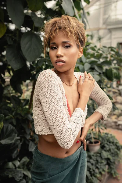 Portrait de jeune femme afro-américaine en tricot haut et jupe d'été posant et regardant la caméra près des plantes en orangerie floue, fashionista se mélangeant à la flore tropicale — Photo de stock