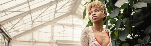 Vue à angle bas de confiant jeune femme afro-américaine en été tricoté haut regardant loin tout en se tenant près des plantes en orangerie floue, femme élégante avec toile de fond tropicale, bannière — Photo de stock