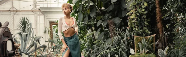 Joven mujer afroamericana en la parte superior de punto y falda posando y mirando hacia otro lado mientras está de pie cerca de follaje verde en invernadero, mujer elegante con fondo tropical, pancarta - foto de stock