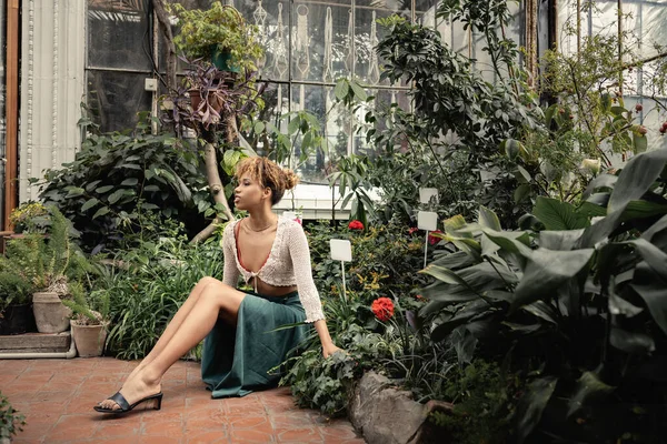 Junge und trendige Afroamerikanerin im Sommer-Outfit, die wegschaut, während sie in der Nähe grüner Pflanzen mit Blumen im Gartencenter sitzt, modebewusste Dame inmitten tropischen Grüns — Stockfoto