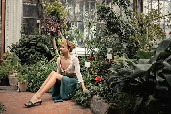 Giovane e trendy donna afroamericana in abito estivo guardando altrove mentre seduto e rilassante vicino a piante verdi con fiori nel centro del giardino, signora alla moda in mezzo al verde tropicale — Foto stock