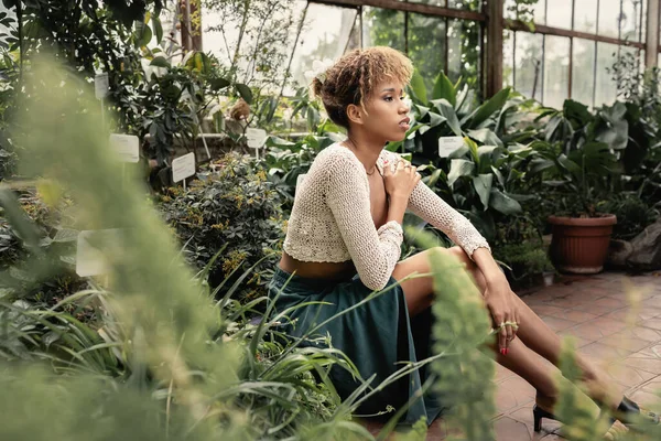 Mujer afroamericana joven y relajada en traje de verano y la parte superior de punto sentado cerca de plantas verdes en el jardín interior borroso en el fondo, señora de la moda hacia adelante en medio de la vegetación tropical - foto de stock