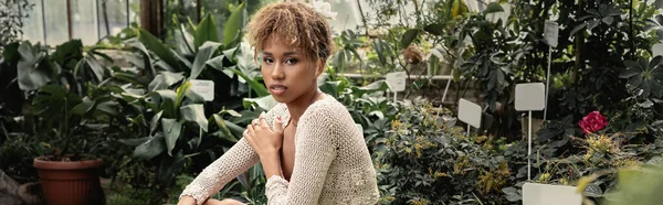 Trendy young african american woman in knitted top looking at camera while relaxing near blurred plants at background in orangery, fashionable woman enjoying summer vibes, banner — Stock Photo