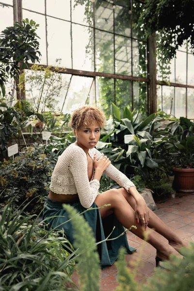Молодая и модная африканская американка в трикотажном топе и юбке смотрит в камеру и трогает плечо, сидя рядом с растениями в оранжерее, модная женщина наслаждается летними флюидами — стоковое фото