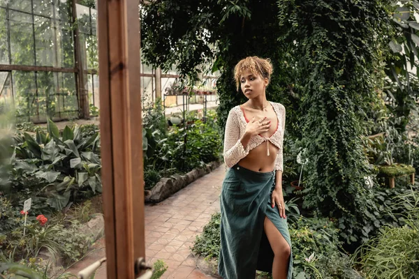 Young and stylish african american woman in skirt and summer knitted top touching chest while standing near door and plants in orangery, stylish lady surrounded by exotic tropical foliage — Stock Photo