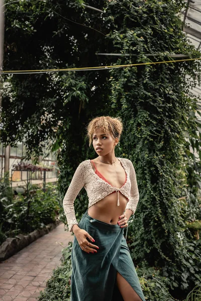 Joven mujer afroamericana confiada en traje de verano cogida de la mano en la cadera y mirando hacia otro lado mientras está de pie cerca de plantas en naranjería, dama elegante rodeada de follaje tropical exótico - foto de stock