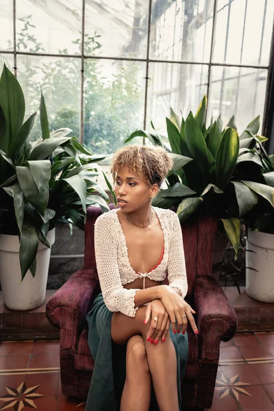 Mujer afroamericana joven de moda en verano tejida top y falda mirando hacia otro lado mientras está sentado en el sillón cerca de plantas en naranjería, fashionista posando en medio de la flora tropical, concepto de verano - foto de stock