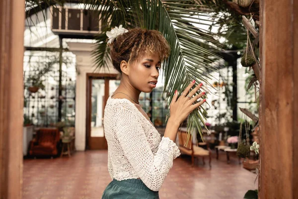 Jeune femme afro-américaine élégante en été tricoté top branche touchante de palmier dans le jardin intérieur flou à l'arrière-plan, fashionista posant au milieu de la flore tropicale, concept d'été — Photo de stock