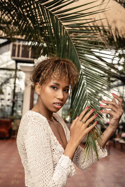 Portrait of trendy young african american woman in knitted top looking at camera while touching brunch of palm tree in orangery, fashionista posing amidst tropical flora, summer concept — Stock Photo