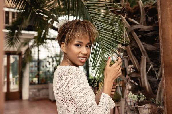 Портрет стильной молодой африканской женщины с брекетами, позирующими в трикотаже, трогательный поздний завтрак из пальмы и смотрящей на камеру в закрытом саду, модницы, позирующей среди тропической флоры — стоковое фото