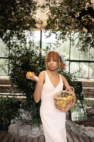 Mujer afroamericana joven de moda en vestido de verano y pañuelo para la cabeza con cesta y limón fresco mientras está de pie en naranjería borrosa, mujer de moda con estilo tropical, concepto de verano - foto de stock