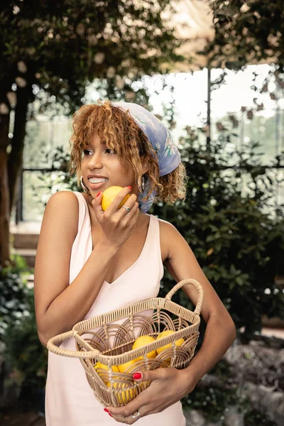 Mujer joven afroamericana sonriente y de moda con tirantes que usan vestido de verano y pañuelo para la cabeza que sostiene la cesta con limones frescos en naranjería, señora elegante que mezcla la moda y la naturaleza - foto de stock