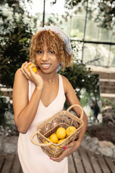 Sorrindo jovem afro-americana com aparelho segurando cesta com limões frescos e posando em vestido de verão e em pé em orangery, elegante senhora misturando moda e natureza, conceito de verão — Fotografia de Stock