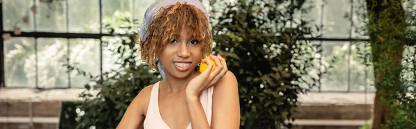 Gefallen junge afrikanisch-amerikanische Frau mit Hosenträgern mit Kopftuch und Sommerkleid und hält frische Zitrone und steht in verschwommener Orangerie, stilvolle Dame, die Mode und Natur verbindet, Banner — Stock Photo