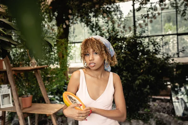 Mujer afroamericana joven de moda en pañuelo para la cabeza y vestido de verano sosteniendo papaya fresca y mirando a la cámara mientras pasa tiempo en la naranjería, señora elegante mezcla de moda y naturaleza - foto de stock