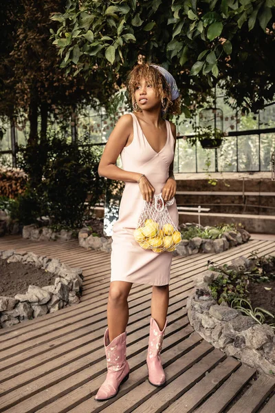 Longitud completa de la mujer afroamericana joven con estilo en vestido de verano sosteniendo bolsa de malla con limones frescos y de pie en el jardín interior, mujer de moda rodeada de exuberancia tropical, concepto de verano - foto de stock
