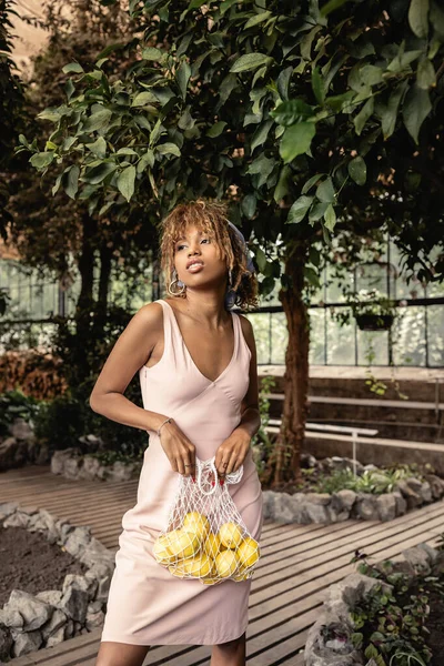 Jeune femme afro-américaine tendance en foulard et robe d'été tenant un sac en filet avec des citrons frais tout en se tenant dans le centre de jardin, femme à la mode entourée de luxuriance tropicale, concept d'été — Photo de stock