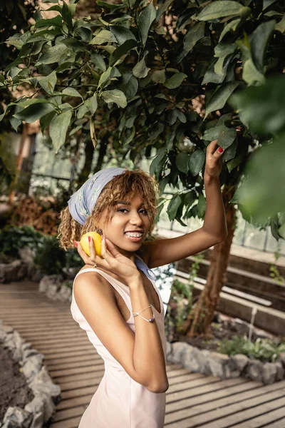 Portrait de jeune et joyeuse femme afro-américaine avec bretelles en tenue d'été et tenant du citron frais près d'un arbre dans un jardin intérieur flou, femme élégante avec des plantes tropicales en toile de fond — Photo de stock