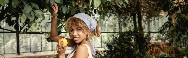 Mujer afroamericana sonriente con aparatos ortopédicos con ropa de verano de moda y mirando a la cámara mientras sostiene limón fresco cerca del árbol en naranjería, mujer elegante con plantas tropicales en el fondo, pancarta - foto de stock